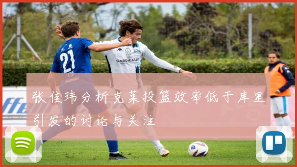 张佳玮分析克莱投篮效率低于库里引发的讨论与关注