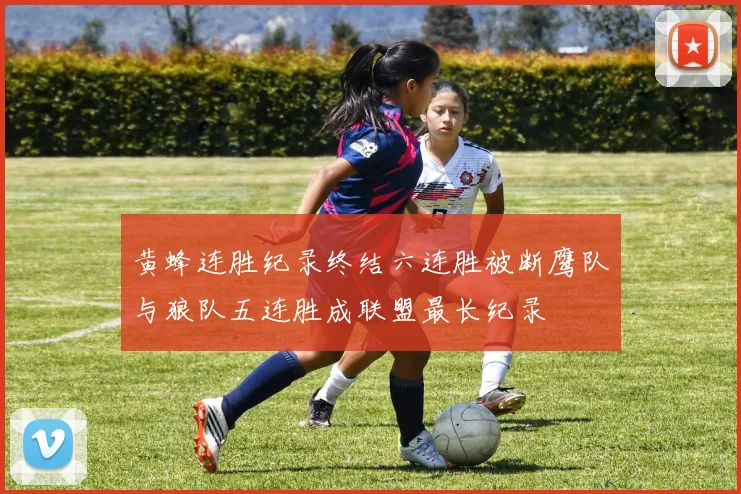 黄蜂连胜纪录终结六连胜被断鹰队与狼队五连胜成联盟最长纪录